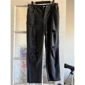 NWOT PacSun High Rise Straight Denim Jean 27in